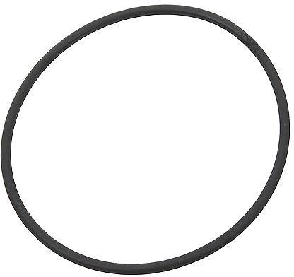 O-RING VOOR FLENS