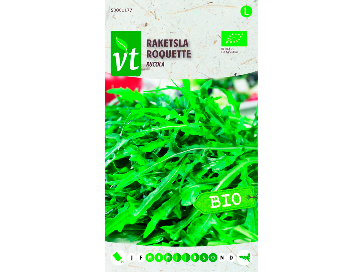 VT raketsla rucola bio