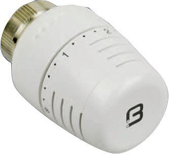 Thermostaatkop 5000 begetube VLOEI.M30 wit