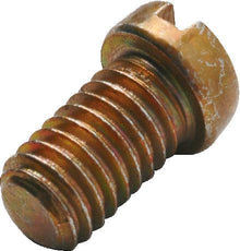 Schroef Vaillant Thermo