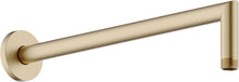 Douchearm muur universeel nobili 1/2" 350MM Miele geborsteld