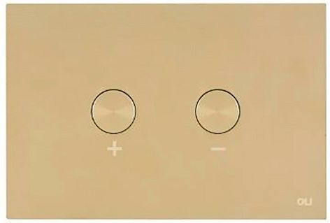 DUWPLAAT 2-TOETS BLINK PNEUMATISCH WHITE GOLD + OMBOUWSET