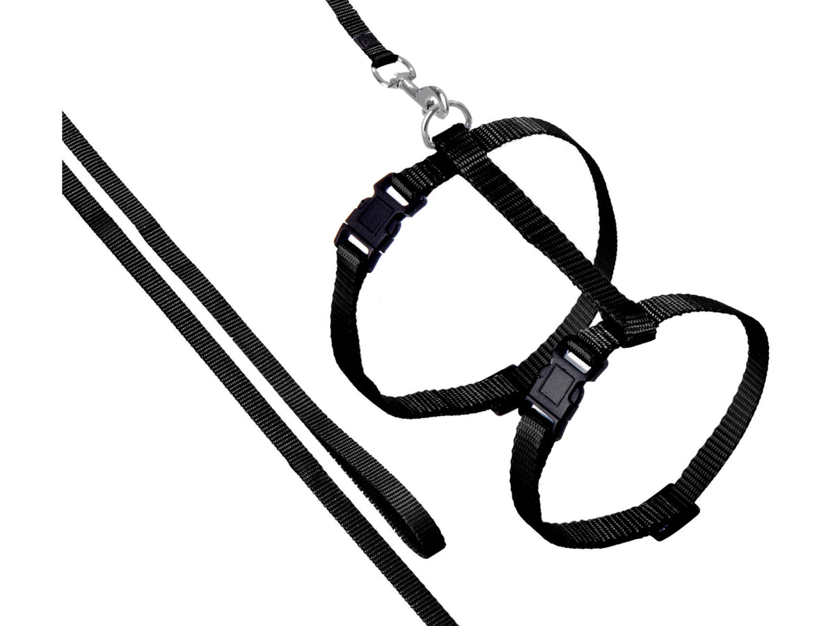 Flamingo Ziggi kattentuig met lijn 20/35 cm 1,1m 10mm zwart