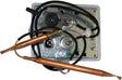 THERMOSTAT BIPOLAIRE 2 SONDES 4-5-6-4000 BULEX