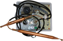 THERMOSTAT BIPOLAIRE 2 SONDES 4-5-6-4000 BULEX