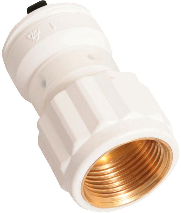 HENCO VISION PUNTSTUK 1/2"Fx20MM