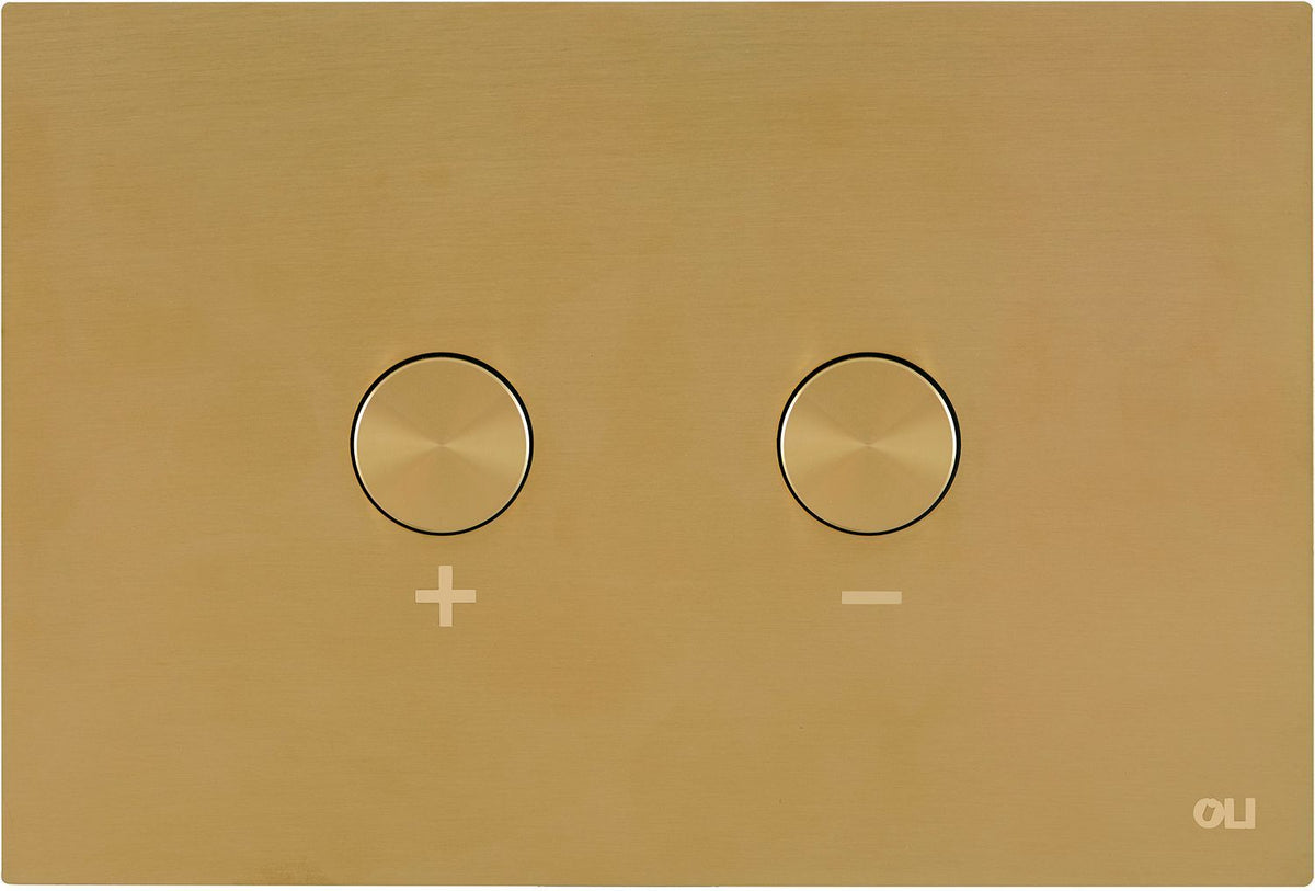 DUWPLAAT 2-TOETS BLINK PNEUMATISCH BRUSHED GOLD + OMBOUWSET
