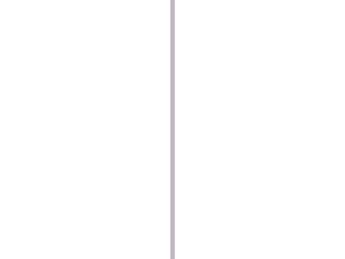 Afdekprofiel 30x2 mm 200cm grijs