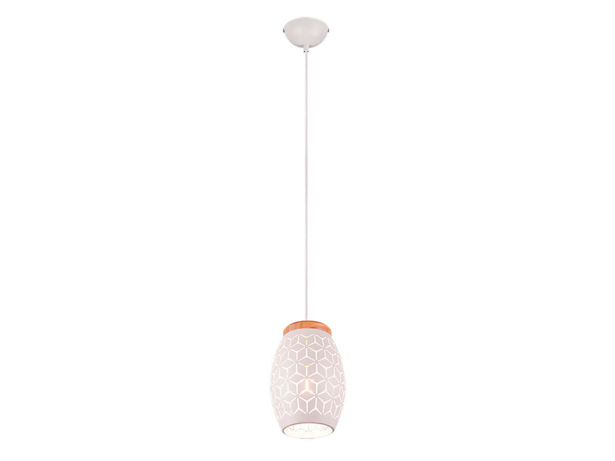 Reality Bidar hanglamp E27 max. 28W wit
