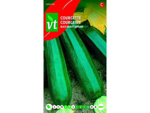 VT Black Beauty Superba courgette