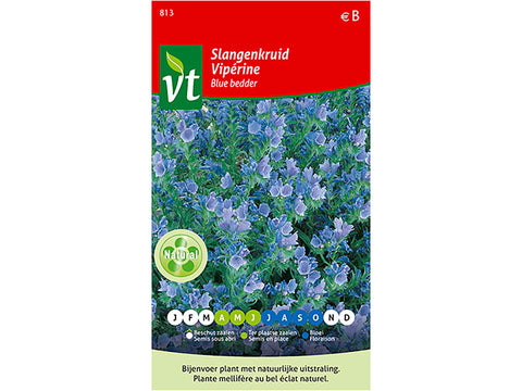VT Blue Bedder slangenkruid