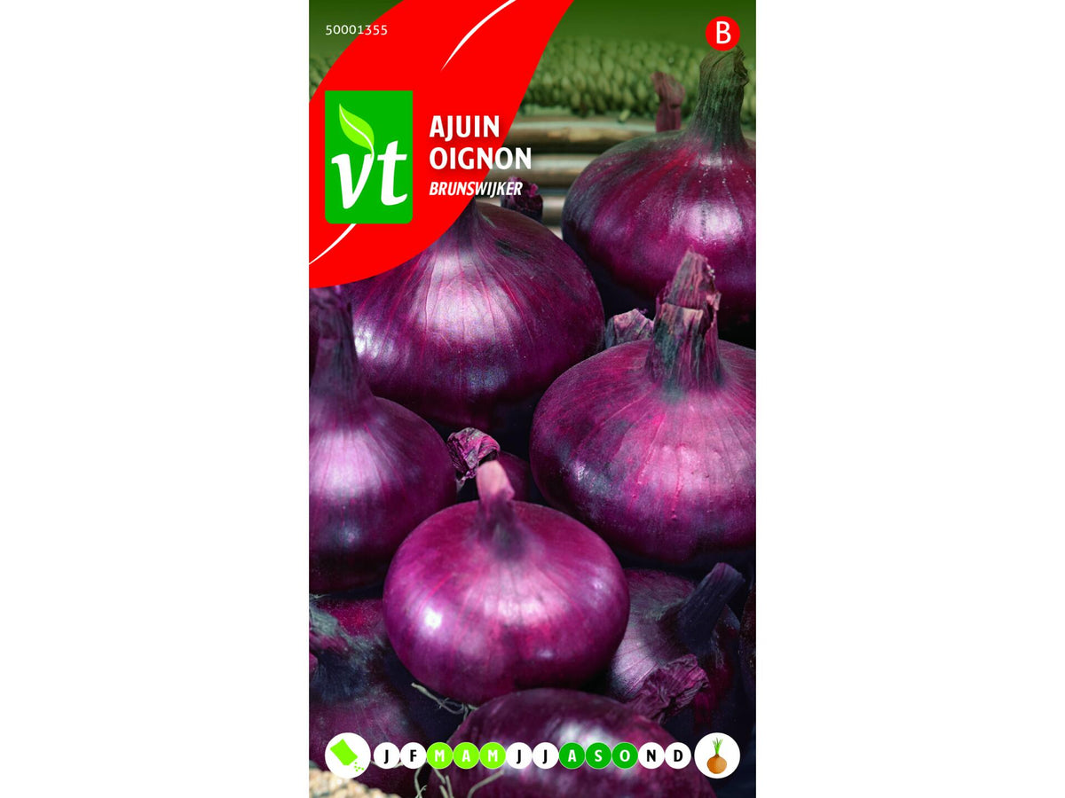 VT Brunswijker ajuin, groentenzaden — SKU COLOS-1057102, EAN 5411266405037