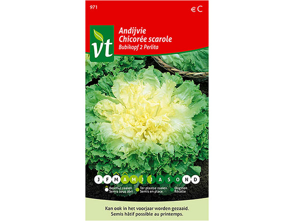 VT Bubikopf 2 Perlita andijvie