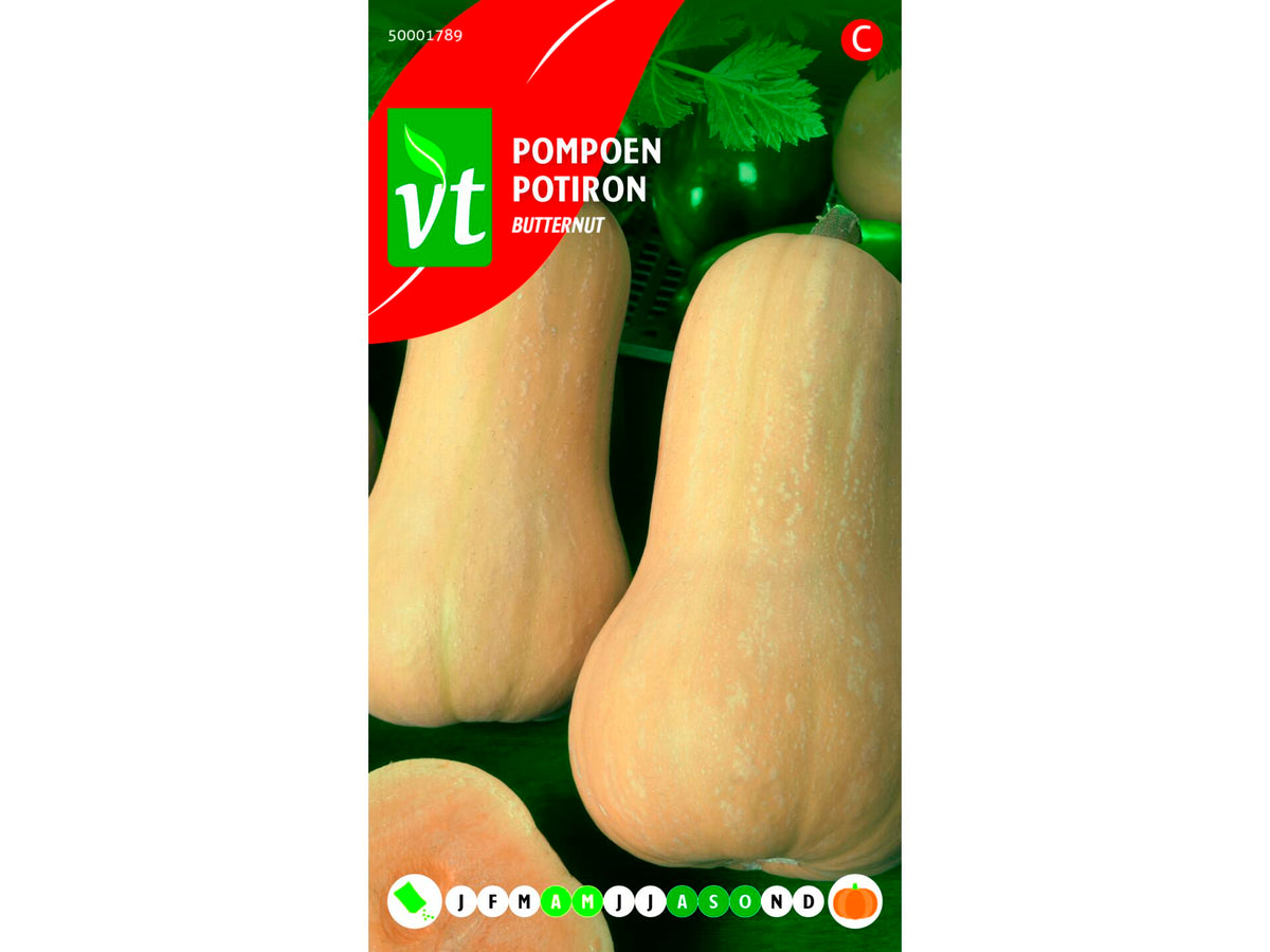 VT Butternut pompoen