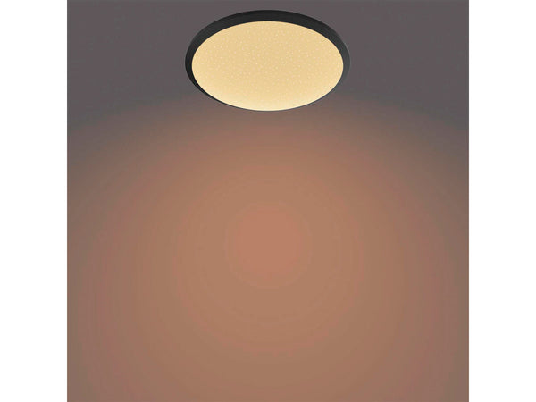 Philips CL255 plafonnier LED 12W noir