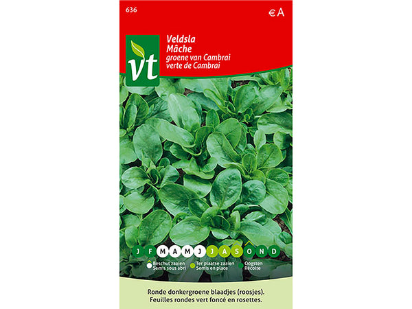 VT Cambrai groene veldsla