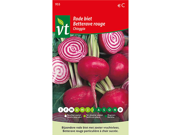 VT Chioggia betterave rouge