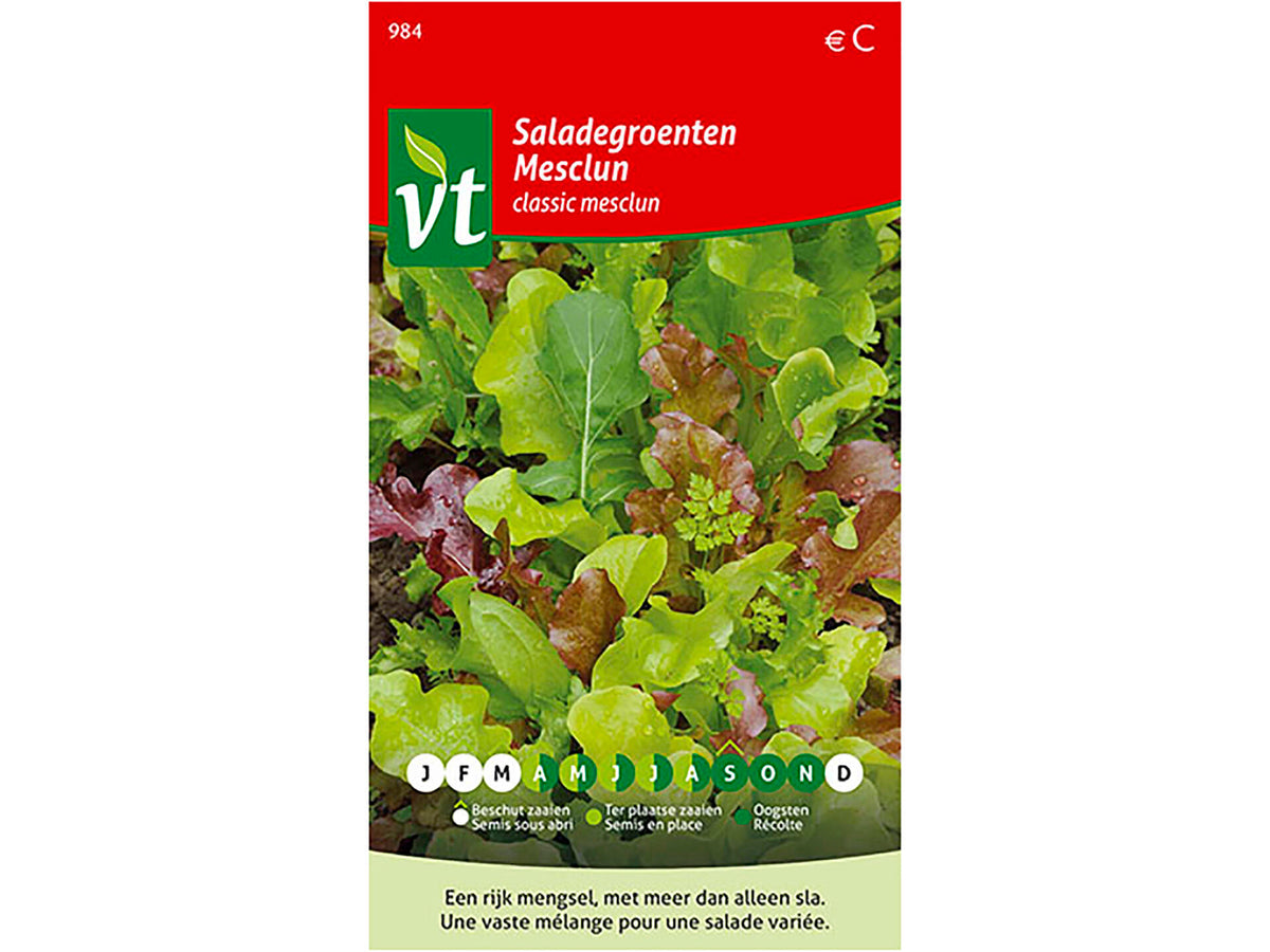 VT Classic Mesclun saladegroenten