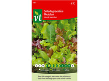 VT Classic Mesclun saladegroenten