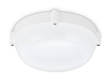Prolight Cool White LED wandlamp 7W wit