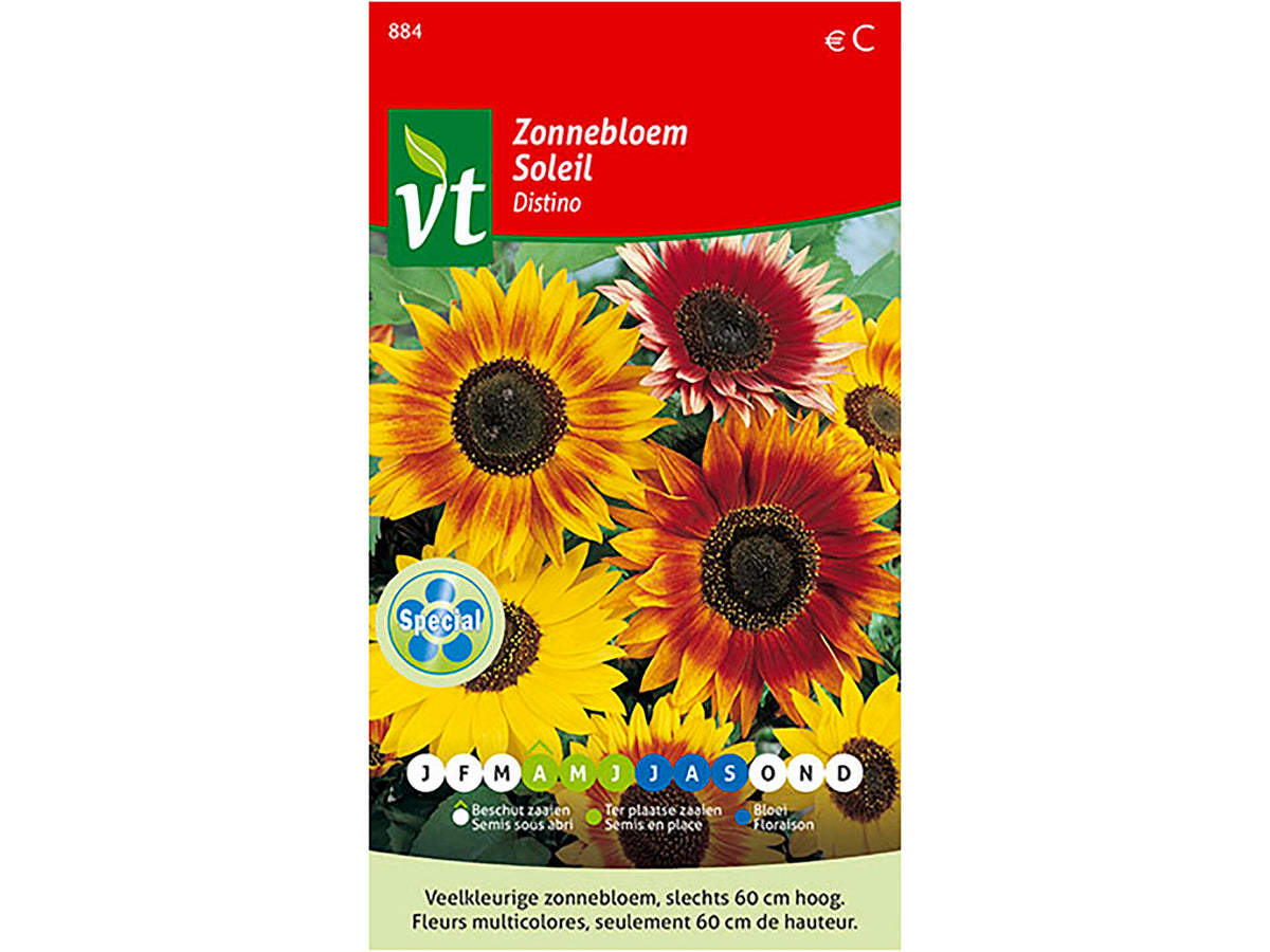 VT Distino zonnebloem laag