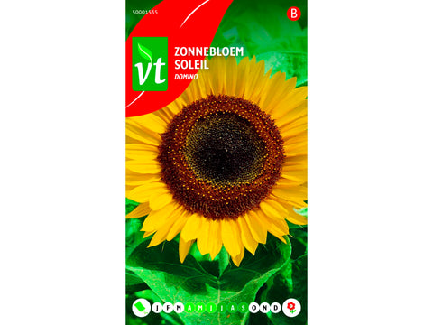 VT Domino zonnebloem halfhoog