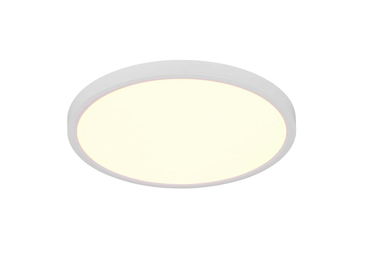 Reality Draco LED plafondlamp 30W mat wit