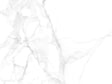 Dumaplast Dumapan wand- en plafondpaneel 260x37,5 cm 3,9m² 8mm calacatta 4 stuks