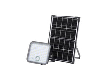 Ledvance Endura Flood Split Solar LED straler 30W met sensor