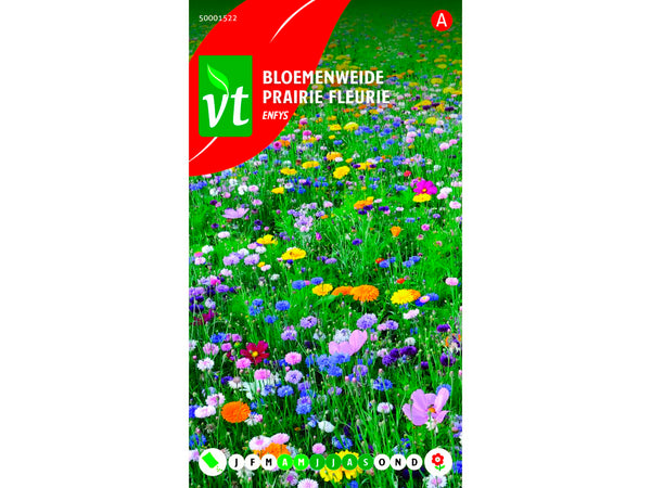 VT Enfys bloemenweide