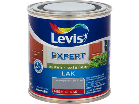 Levis Expert houtlak buiten hoogglans 0,25l wolkengrijs
