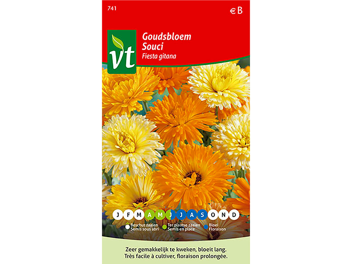 VT Fiesta Gitana goudsbloem