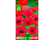 VT Flanders Poppy coquelicot