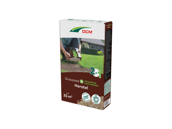 DCM Semences gazon plus de regarnissage 0,525kg
