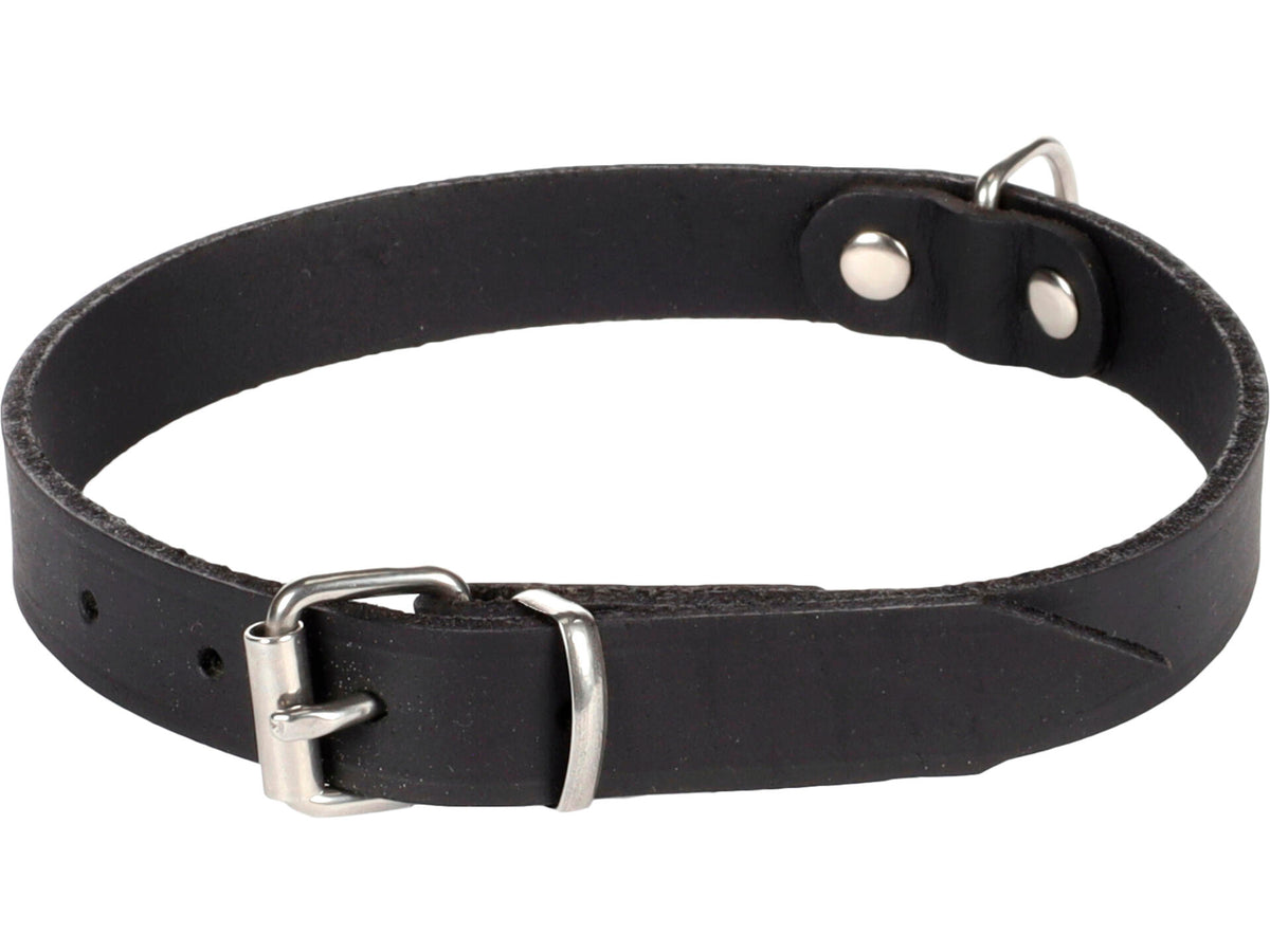 Flamingo Halsband Rondo 52x2 cm zwart