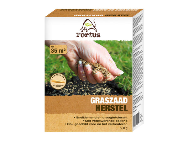 Fortus Semence gazon de regarnissage 0,5kg