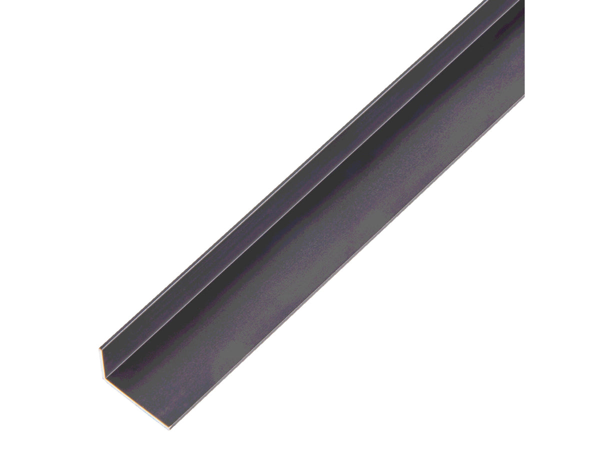 Hoekprofiel 20x10x1 mm 100cm geanodiseerd aluminium zwart