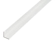 Hoekprofiel 20x20x1 mm 100cm geanodiseerd aluminium zilver