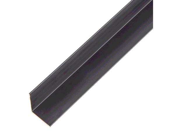 Hoekprofiel 20x20x1 mm 200cm geanodiseerd aluminium zwart