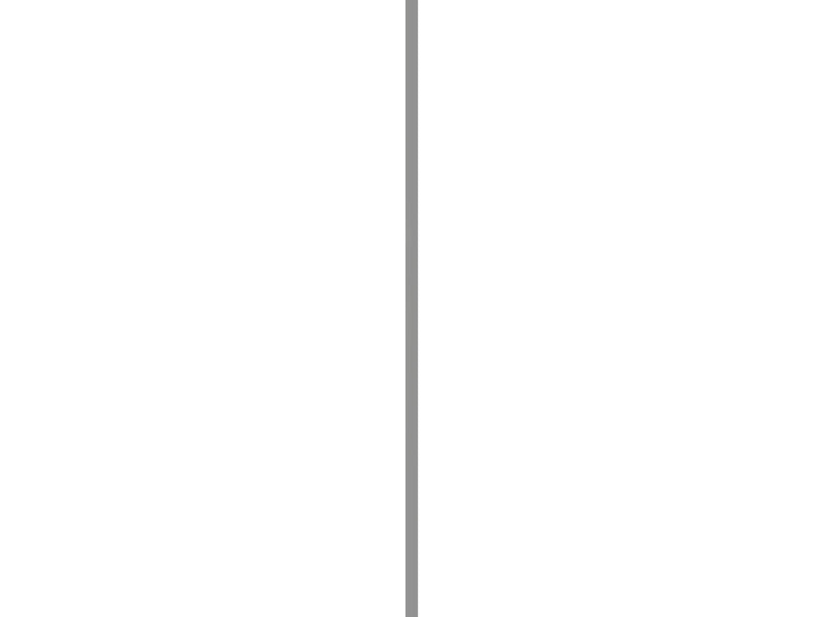 Hoekprofiel 40x20 mm 200cm grijs