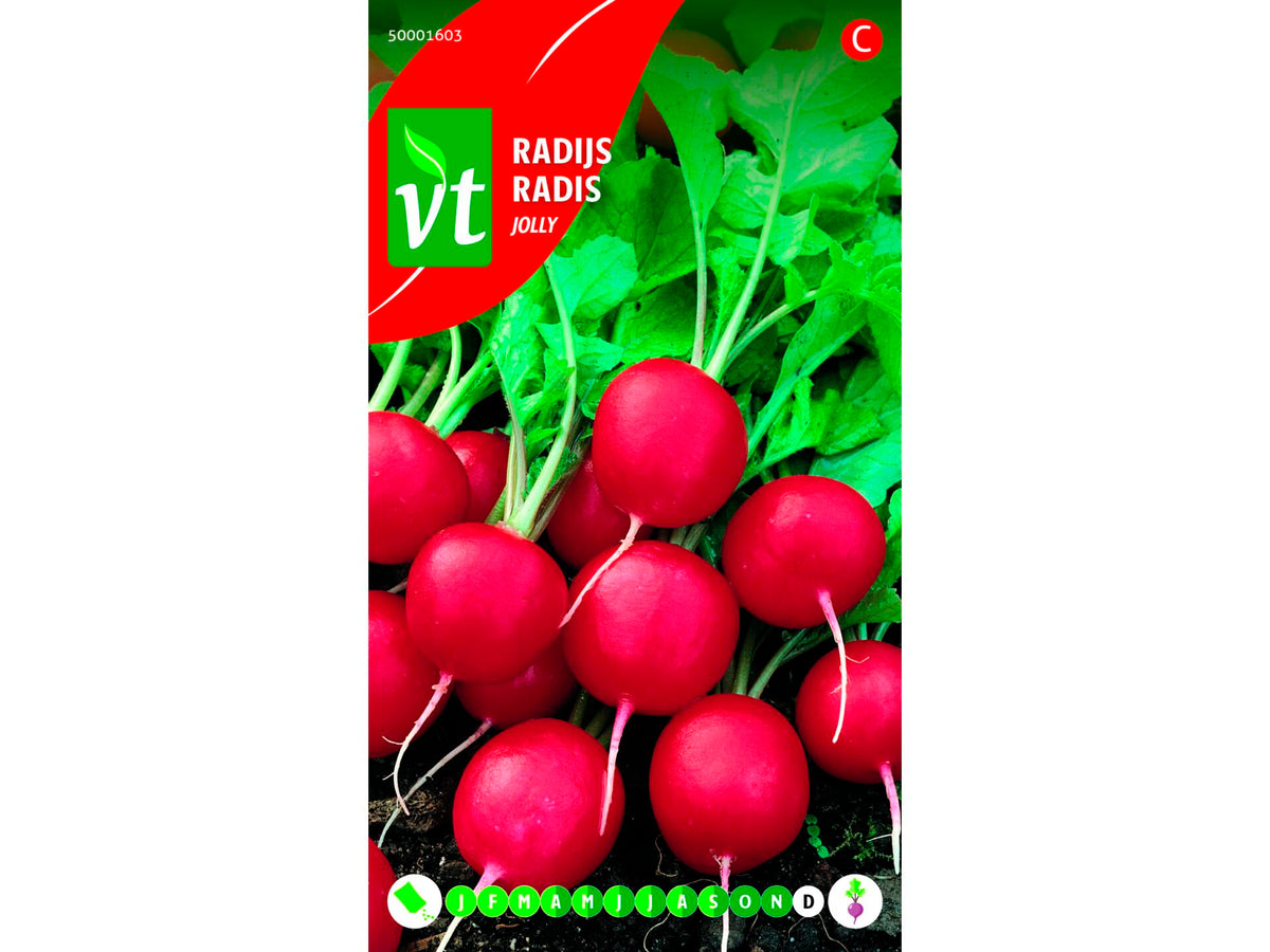 VT Jolly radijs