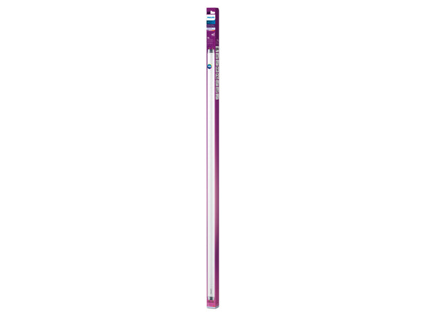 Philips tube LED T8 12W 900mm blanc froid