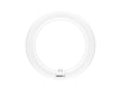 Osram LED TL-lamp rond T9 11W koud wit