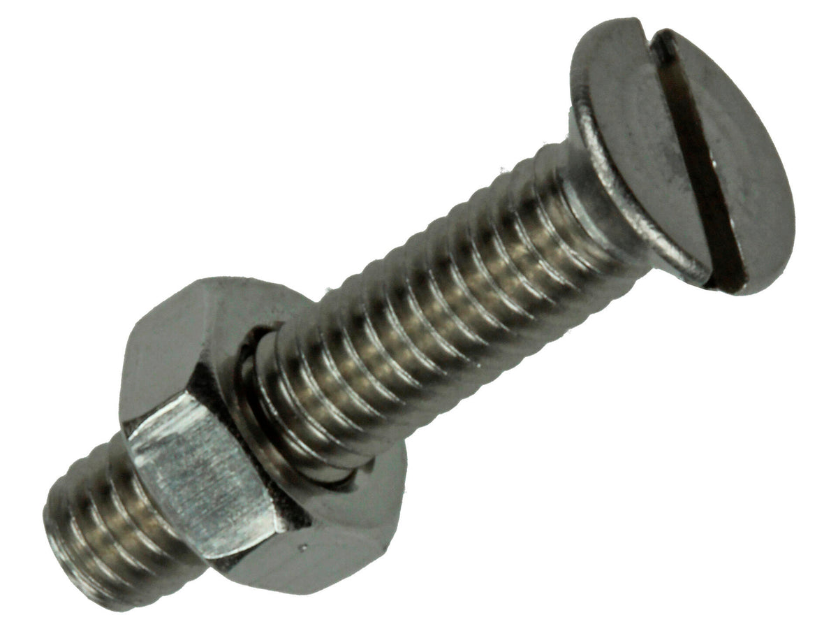 Mack Metaalschroeven met moer 20x4 mm inox 12 stuks