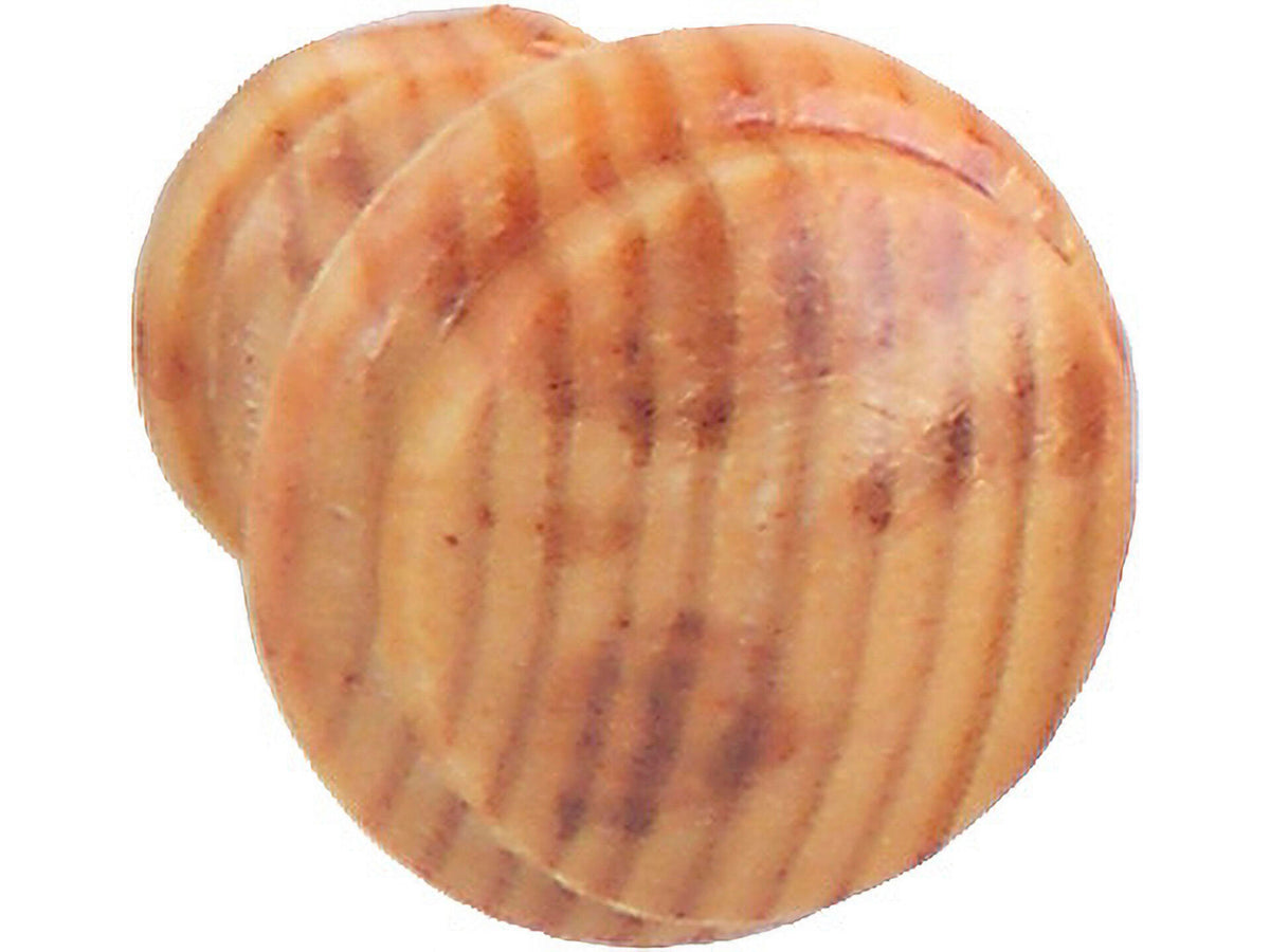 Linea Bertomani Meubelknop 25mm den vernist