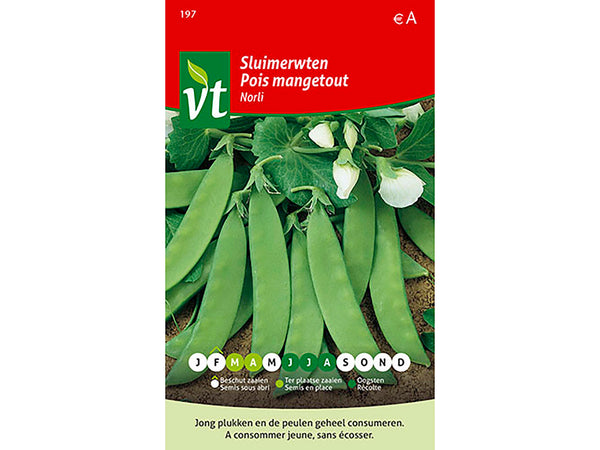 VT Norli sluimererwten