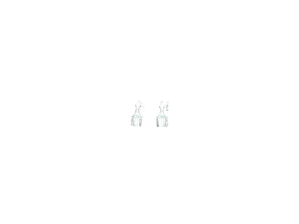 Carpoint Premium gloeilamp W3W 12V 2 stuks