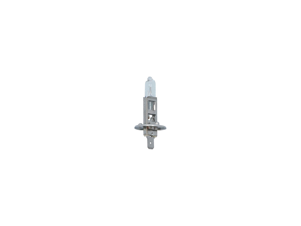 Carpoint Premium halogeenlamp H1 12V 55W