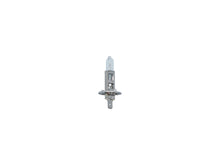 Carpoint Premium halogeenlamp H1 12V 55W