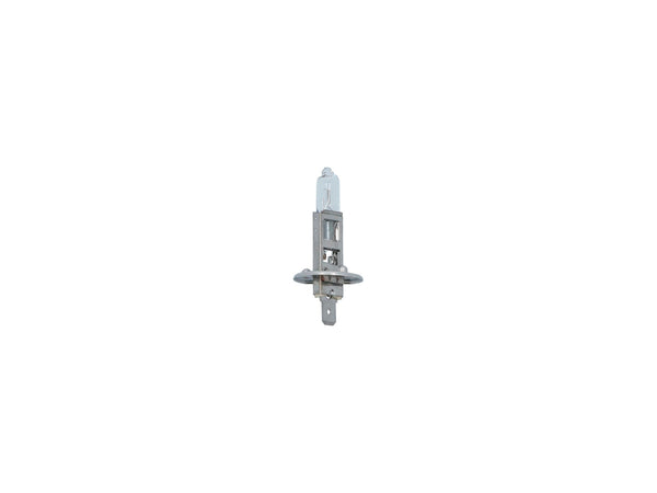 Carpoint Premium halogeenlamp H1 12V 55W